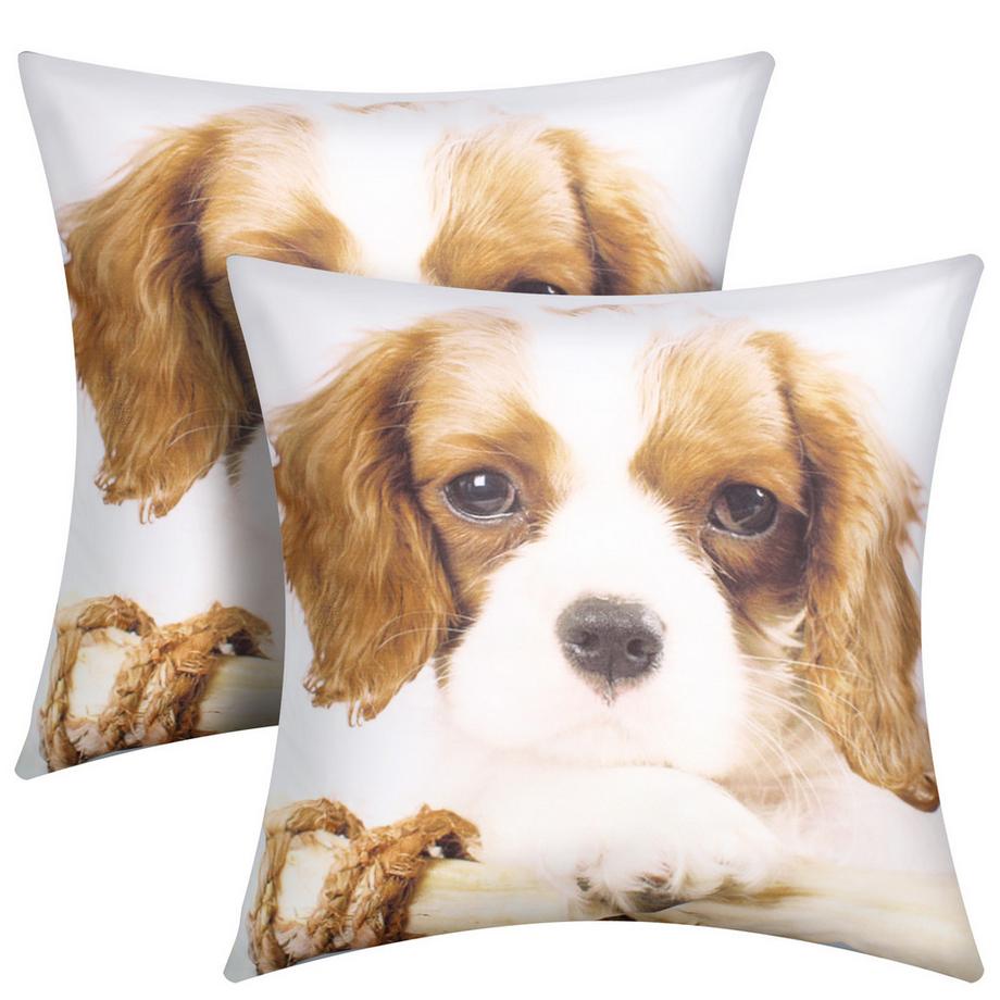 Avizar Lot 2 Housses de Coussin King Charles  
