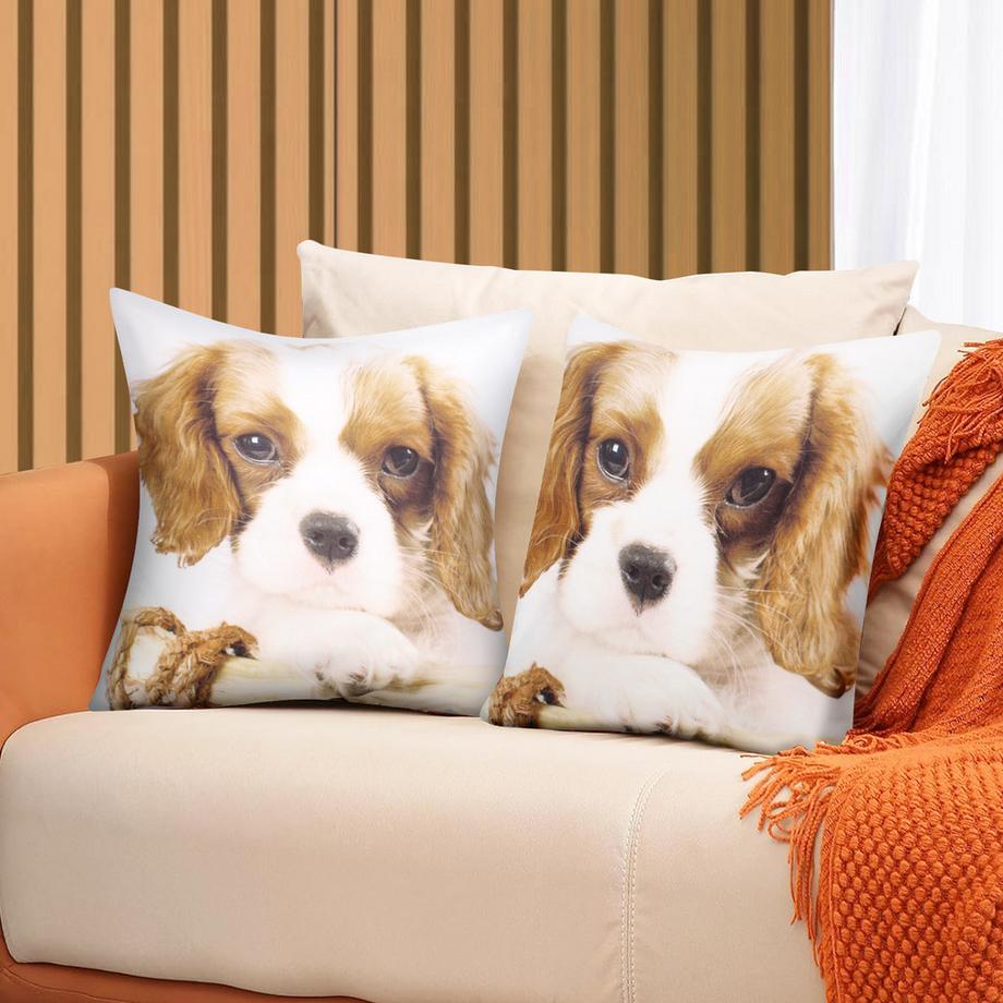 Avizar Lot 2 Housses de Coussin King Charles  