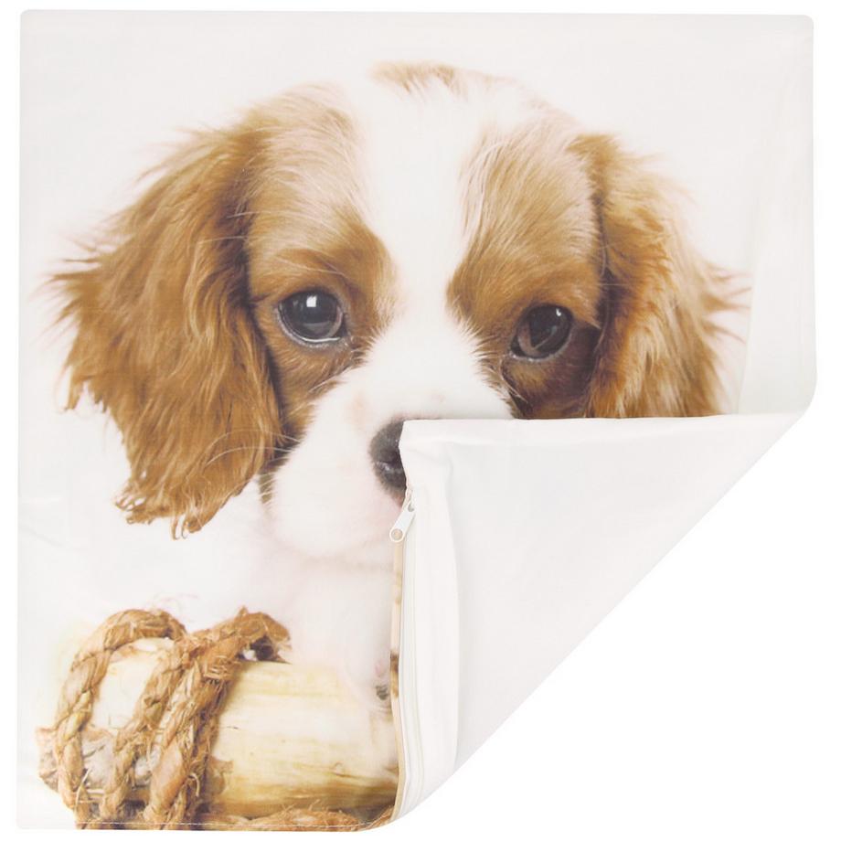 Avizar Lot 2 Housses de Coussin King Charles  