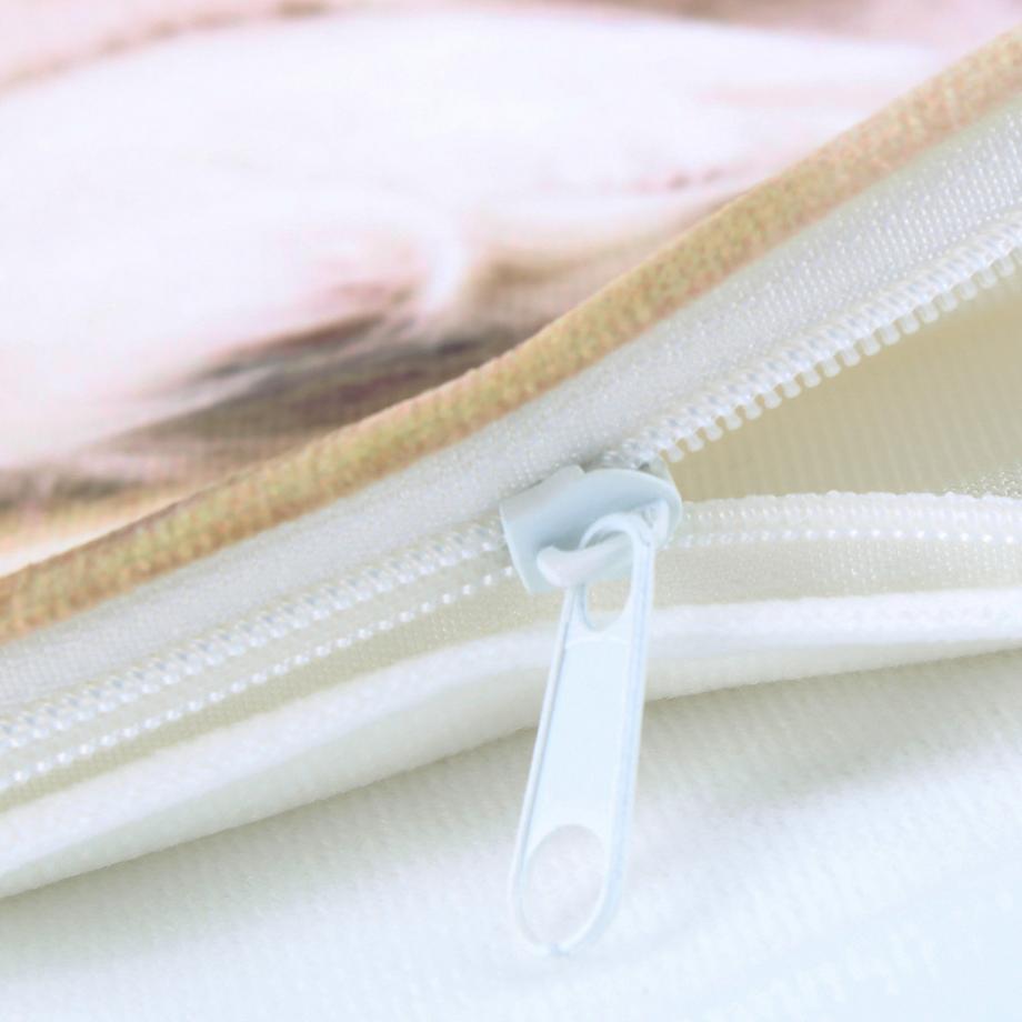 Avizar Lot 2 Housses de Coussin King Charles  