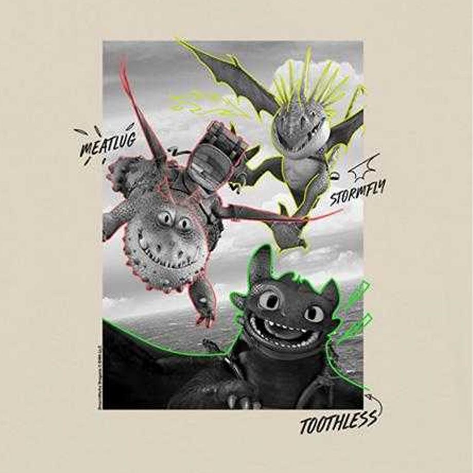 DRAGONS  T-ShirtMotif Krokmou Et Les Dragons Motiftyle Contour Et Volant 