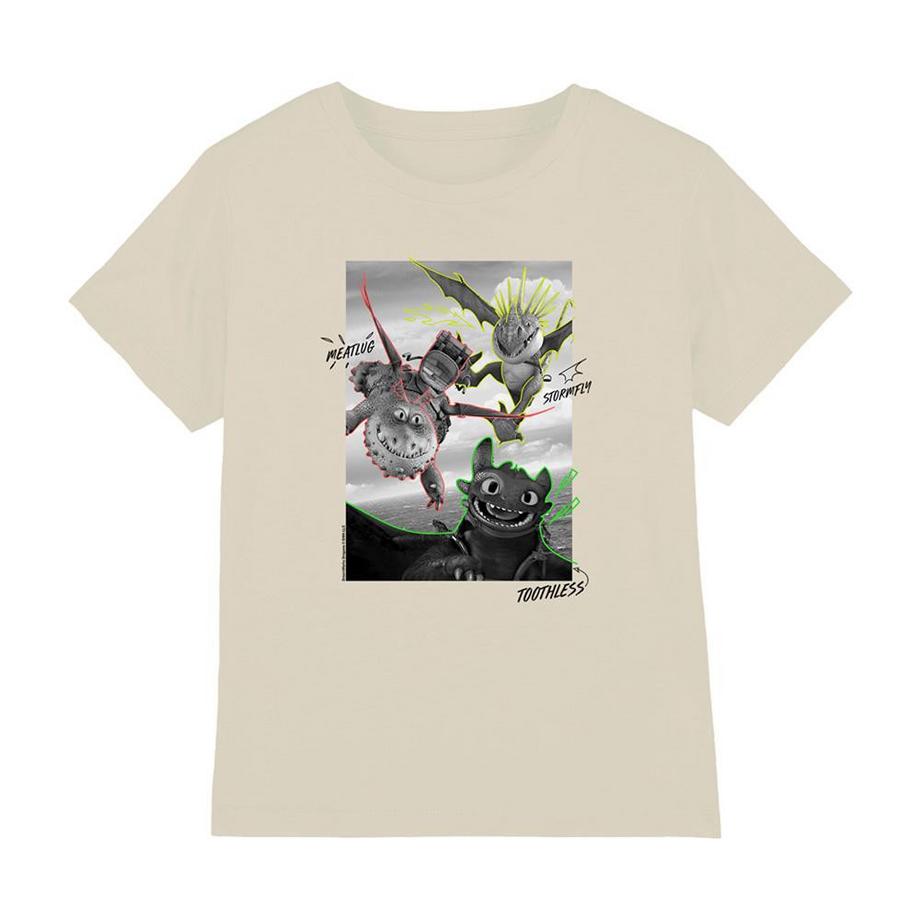 T-ShirtMotif Krokmou Et Les Dragons Motiftyle Contour Et Volant