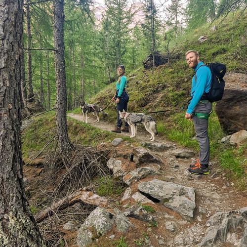 Image of Huskytrekking Nach Eisten Inkl. Grillplausch (für 2 Erwachsene) Unisex