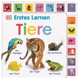 Erstes Lernen. Tiere Kein Autor Gebundene Ausgabe 