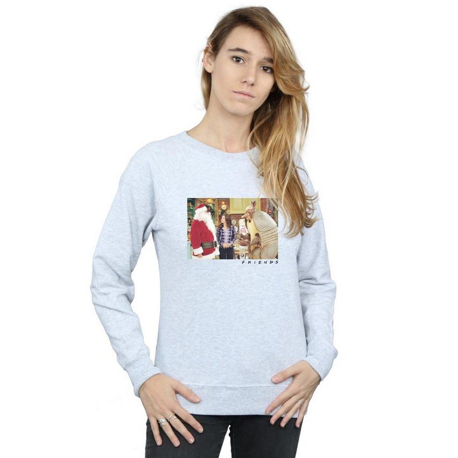 Friends The Holiday Armadillo Sweatshirt  