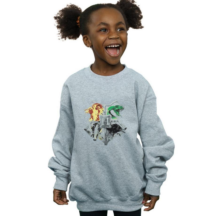Harry Potter  Hogwarts Sweatshirt 