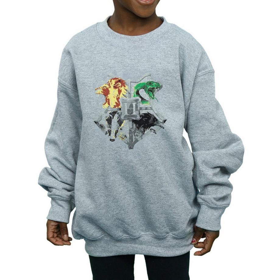 Harry Potter  Hogwarts Sweatshirt 
