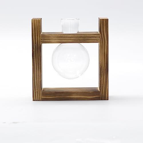 Alopini Propagation Station 1 Stück Zwiebel Avocado Vase Glas Eichel Vase für Blumen Terrarium Jar Pflanzer  