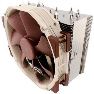 Noctua  Noctua 