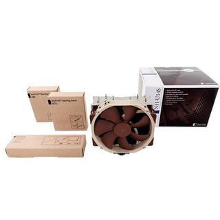 Noctua  Noctua 