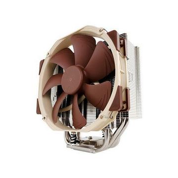 Noctua