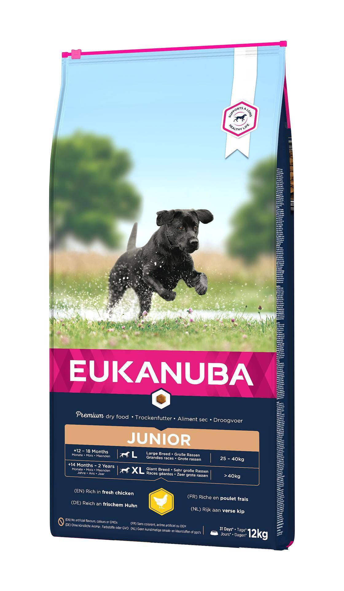 Eukanuba  Junior Large 