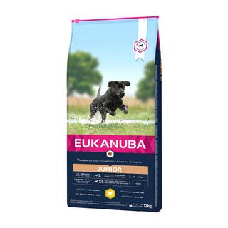 Eukanuba  Junior Large 