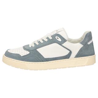 Sioux  Sneaker Tedroso-704 