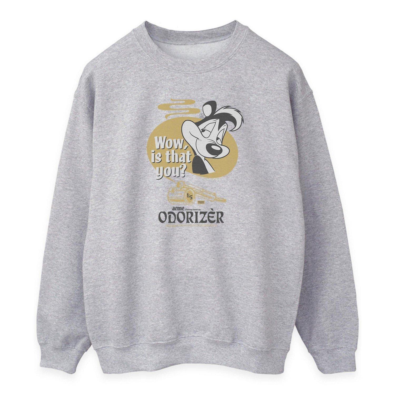 Image of Odorizer Sweatshirt Damen Grau S