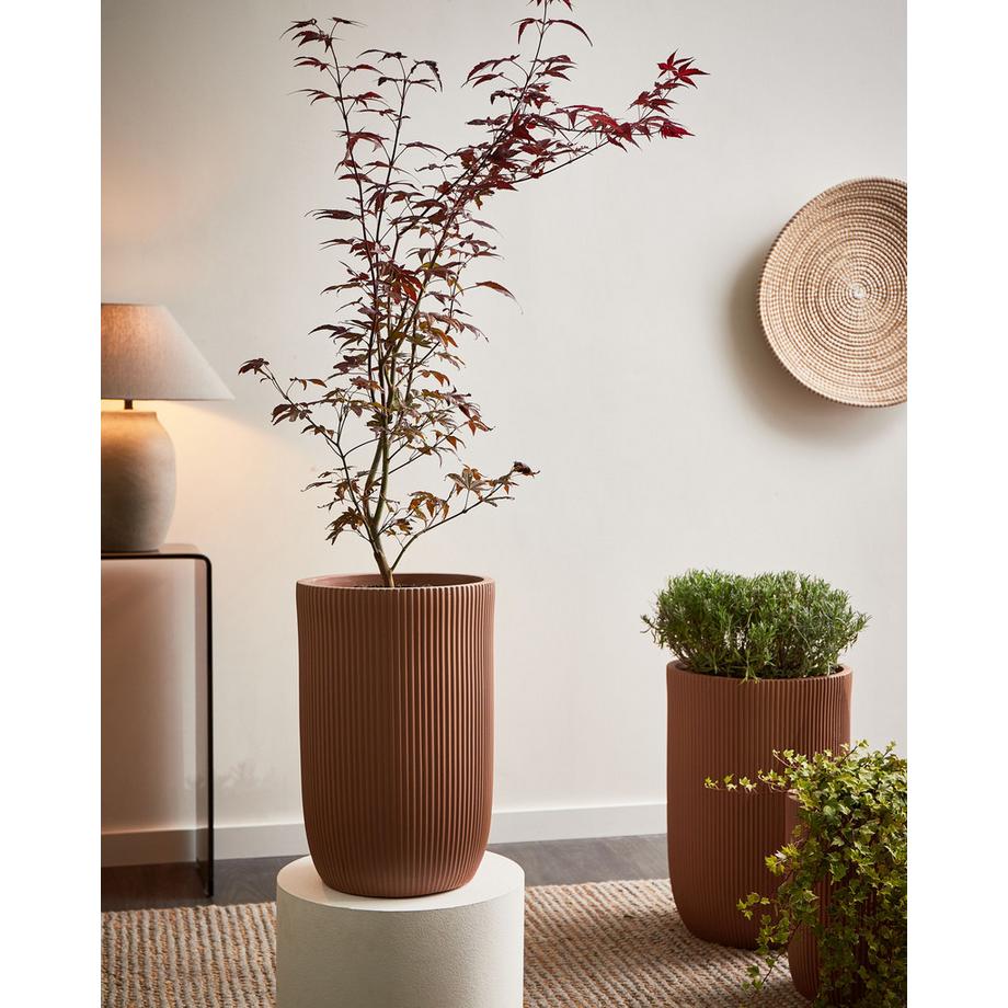 Beliani Vaso per piante en Fibra d'argilla Industriale EANTIO  