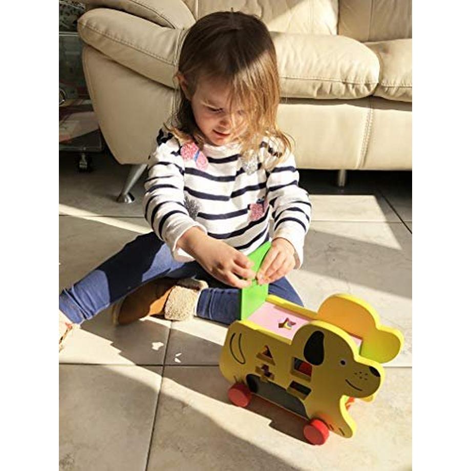 Activity-board  Nachziehspielzeug Holz - Nachziehtier Hund mit Schnur und Steckspiel mit Steckwürfel aus Holz - 2 