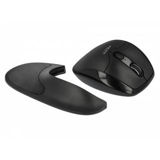 DeLock  12673 mouse Mano destra RF Wireless Ottico 1600 DPI 