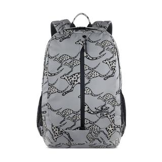 Chiemsee Jump N Fly Grand Sac à dos Gris  