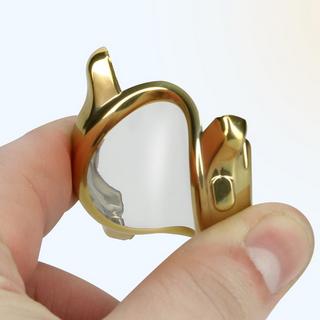 Avizar  Cover Garmin Venu 2 Plus bordo oro 