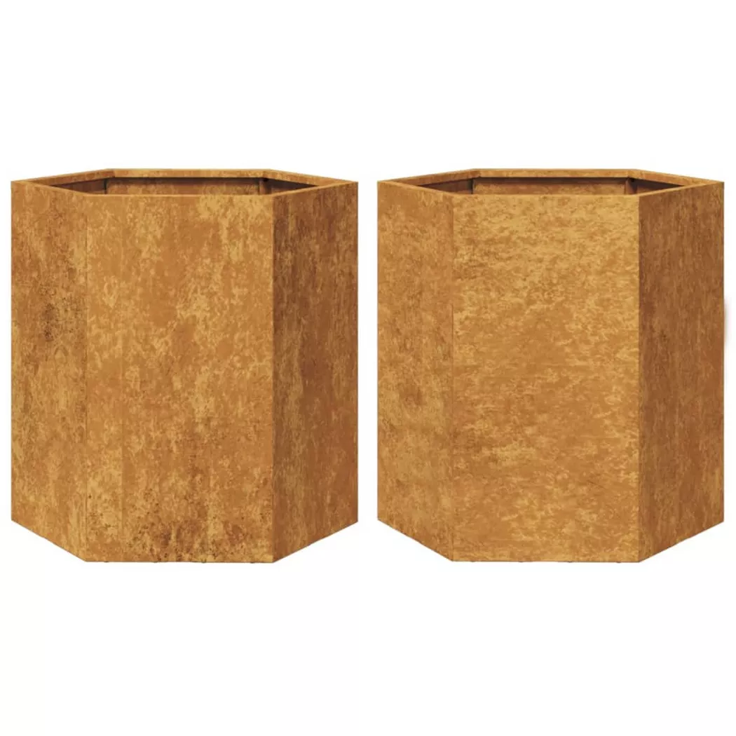 Vidaxl - Jardinières 2 pcs hexagone 46x40x45 cm acier patinable