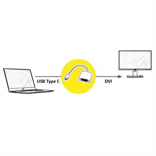 Roline  ROLINE 12.03.3205 Videokabel-Adapter 0,1 m USB Typ-C DVI-D Silber, Weiß 