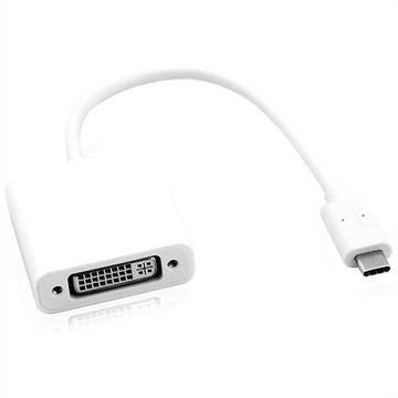 ROLINE 12.03.3205 câble vidéo et adaptateur 0,1 m USB Type-C DVI-D Argent, Blanc