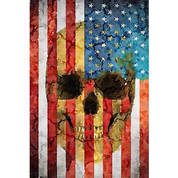 Teppich MON13 US Flag 160x230