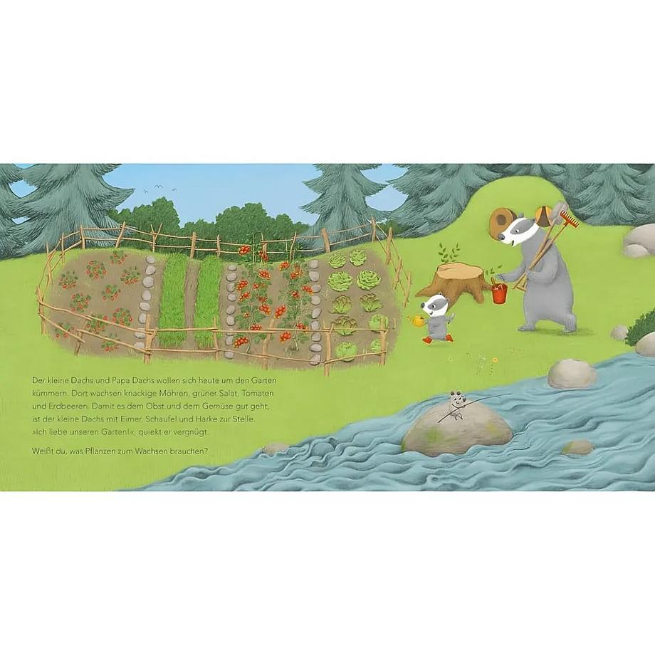 'Ich hab dich lieb', sagt der kleine Dachs Kitzing, Constanze von Gebundene Ausgabe 