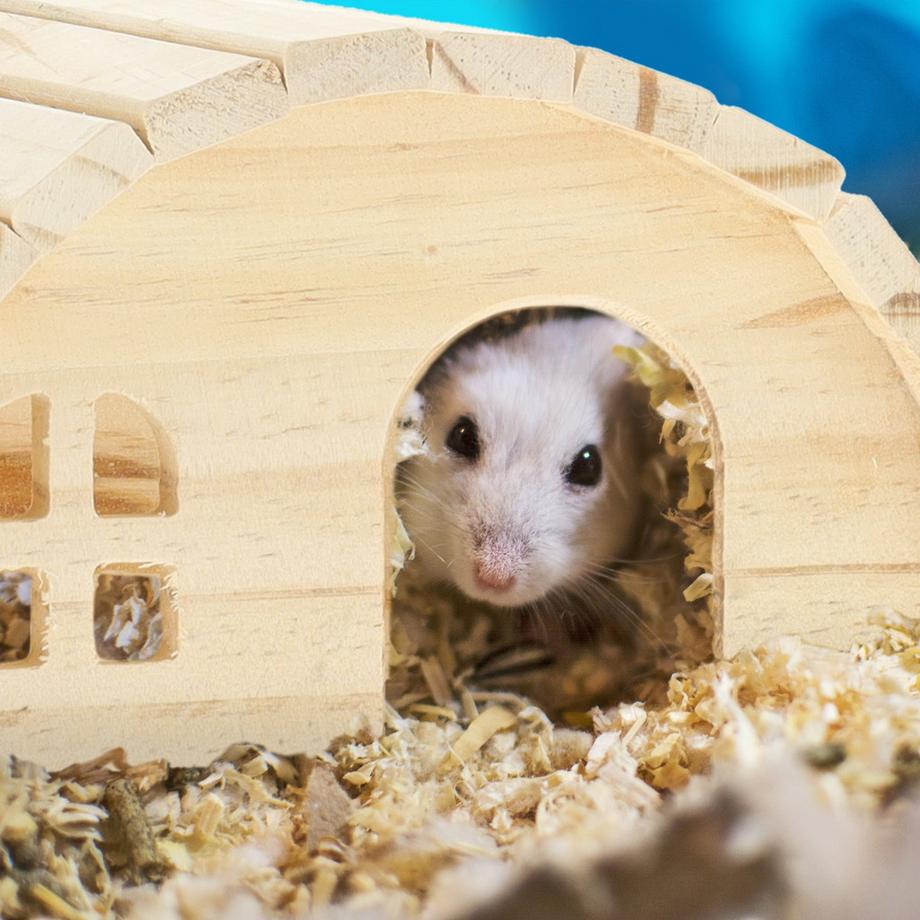 B2X  Hamsterhaus aus Holz 