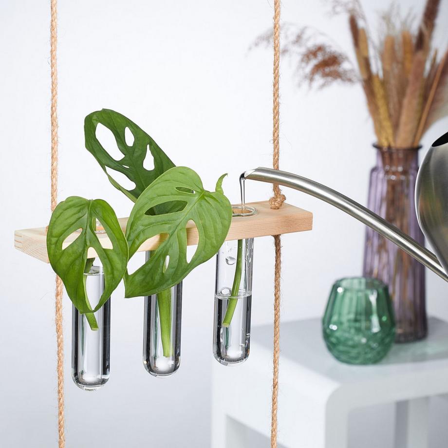 B2X Stazione di propagazione delle piante sospese  