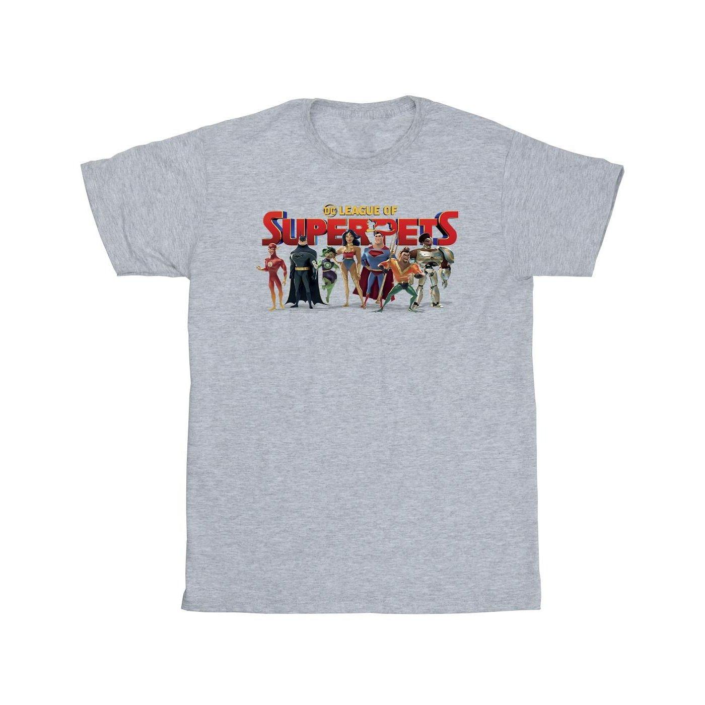 Image of Dc League Of Superpets Group Logo Tshirt Jungen Grau 116