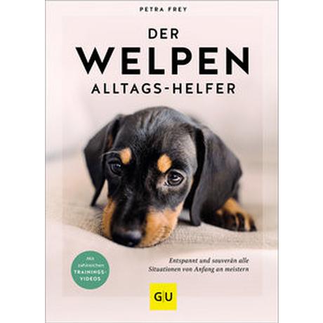 Der Welpen-Alltags-Helfer Frey, Petra Couverture rigide 