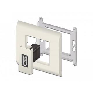 DeLock  Adaptateur  DisplayPort - DisplayPort 