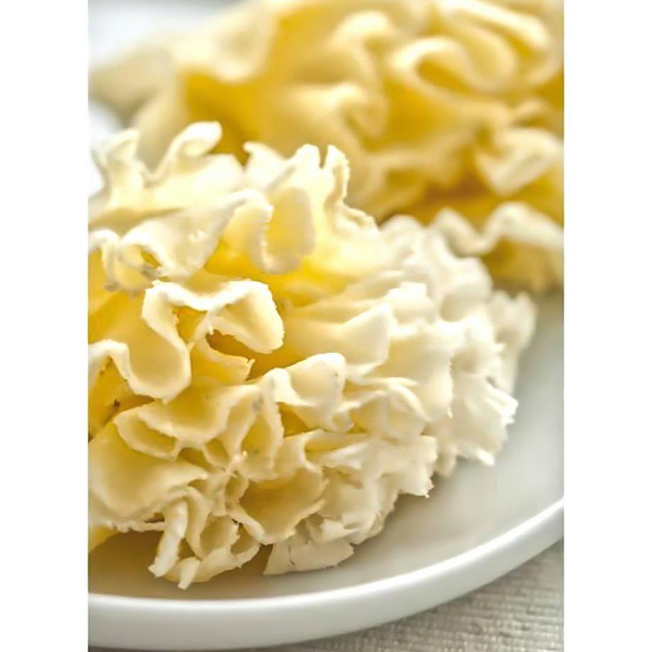 Paderno  Käsereibe drehbar 22cm 
