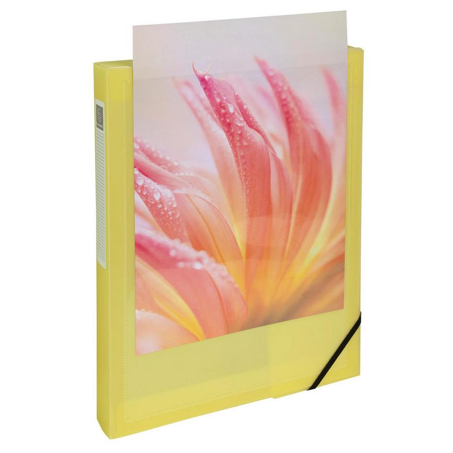 Exacompta Cartella portaprogetti polipropilene Kreacover dorso 40mm - A4 - x 5  