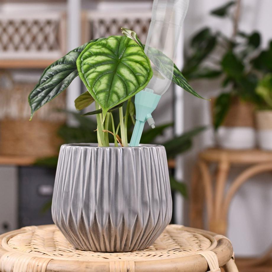 B2X  Bewässerungssystem für Flaschen 12er Set 