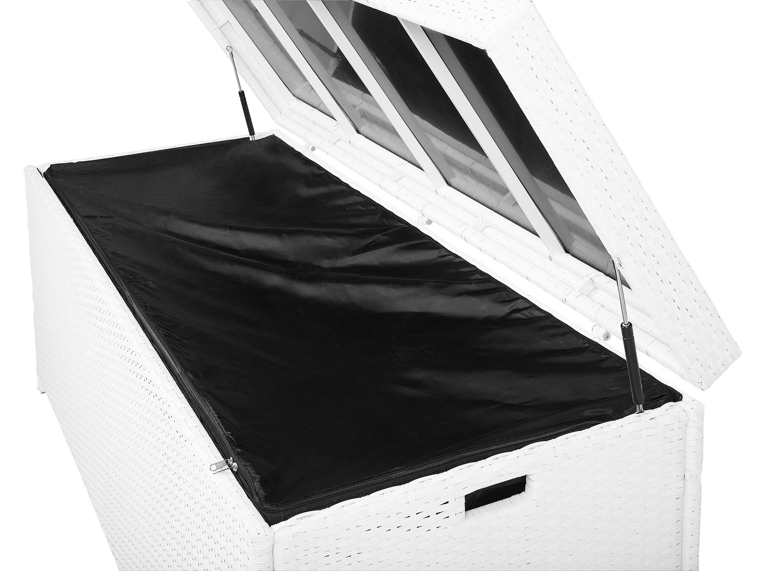 Beliani Coffre de rangement en Polyrotin MODENA  