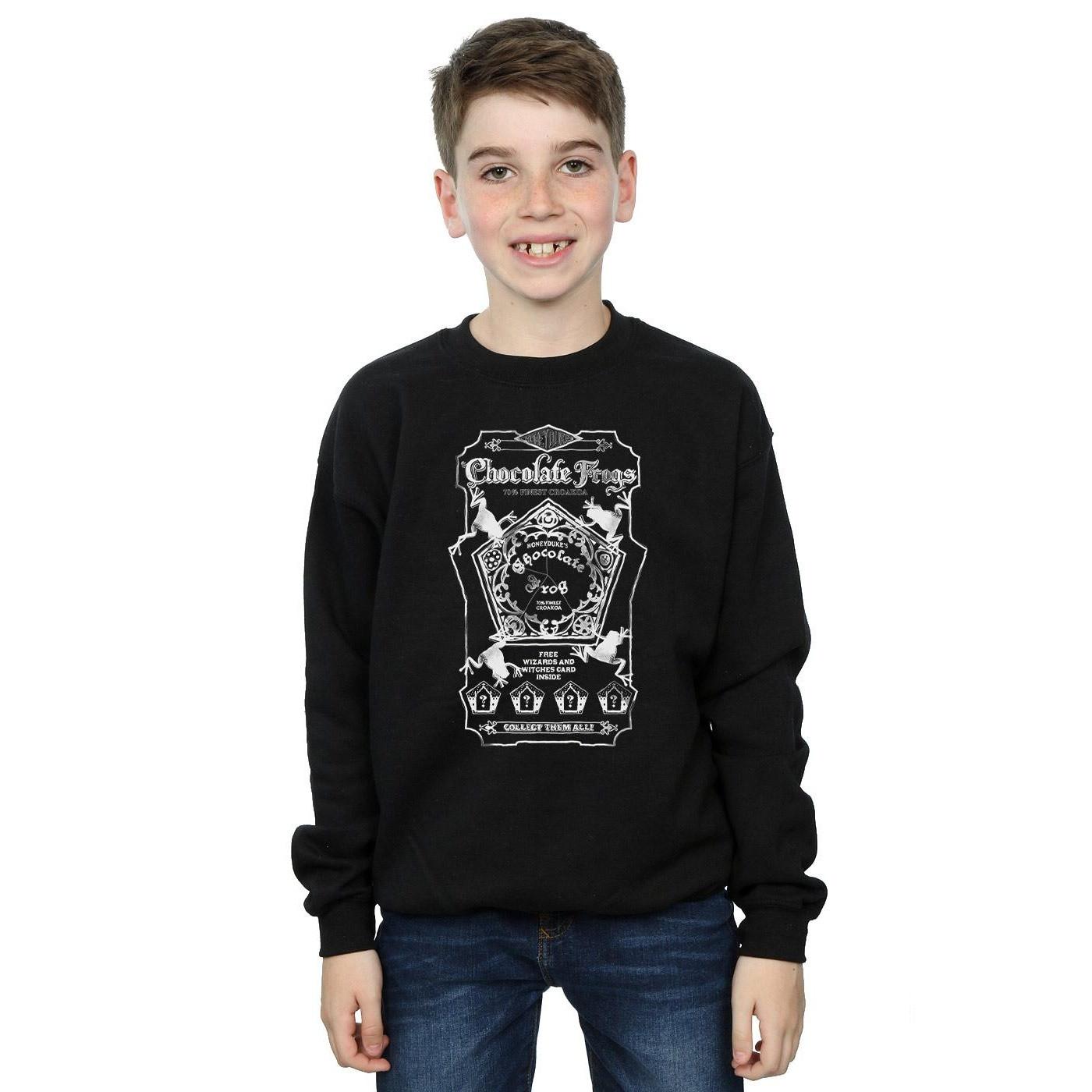 Harry Potter  Sweatshirt 