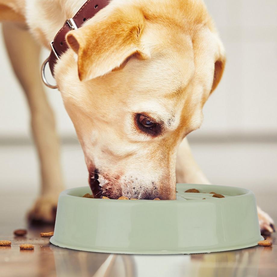 B2X  Anti-Schleuder-Schüssel 600 ml 