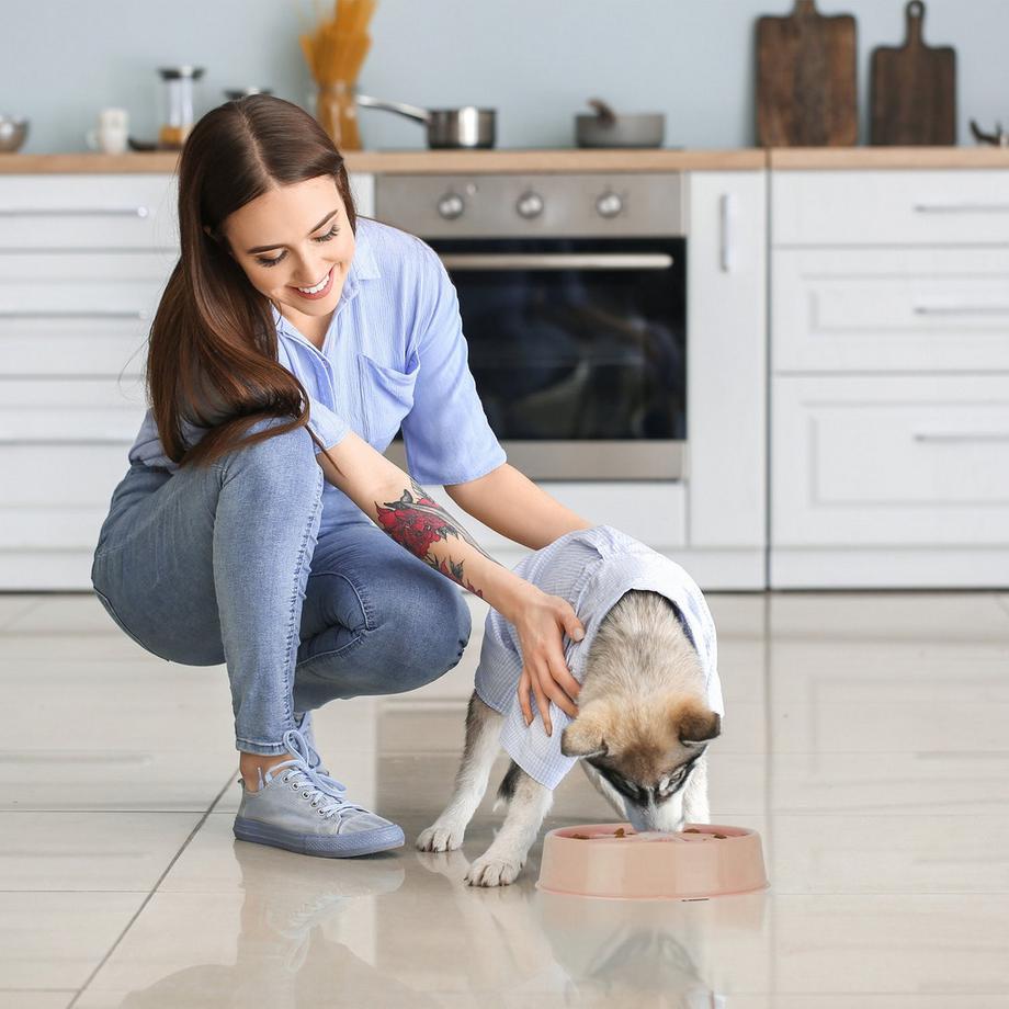 B2X  Anti-Schleuder-Schüssel 600 ml 