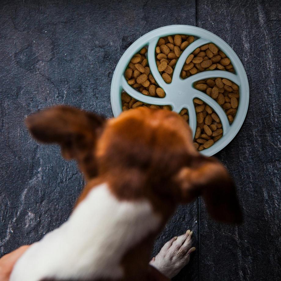 B2X  Anti-Schleuder-Schüssel 600 ml 