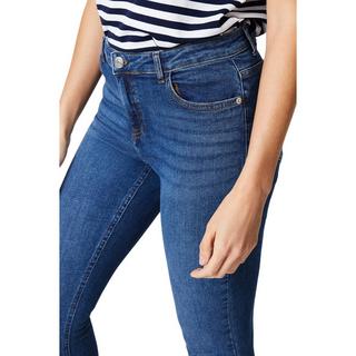 Dorothy Perkins  Jean 