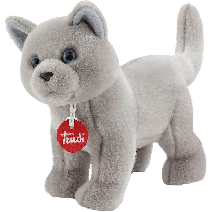 Image of Katze Celestino (25cm)