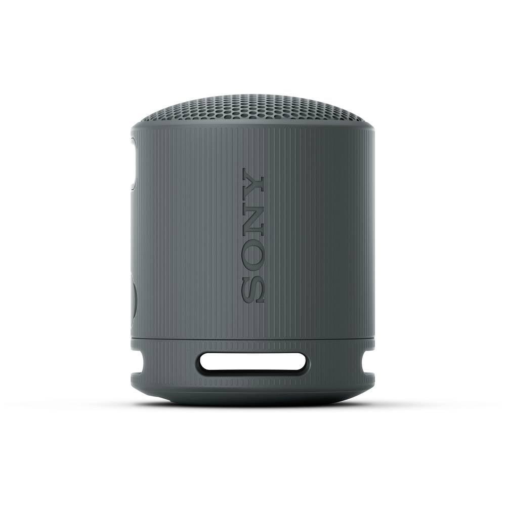 SONY  XB100 Tragbarer kabelloser Lautsprecher 