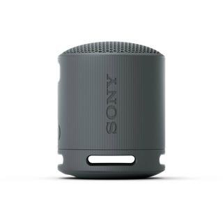 SONY  XB100 Tragbarer kabelloser Lautsprecher 