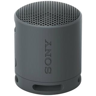 SONY  XB100 enceinte portable sans fil 