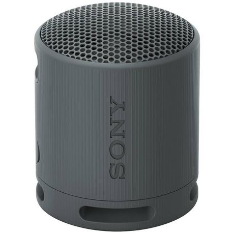 SONY  XB100 Tragbarer kabelloser Lautsprecher 