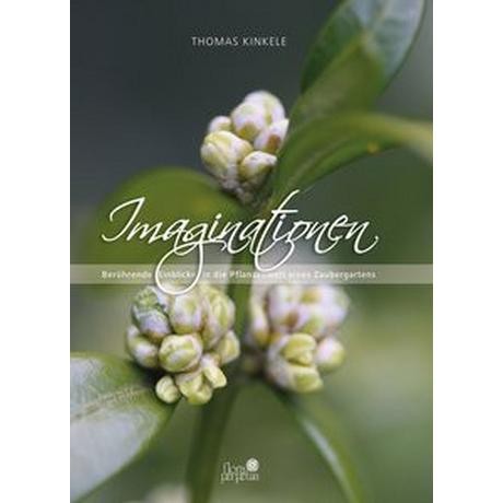 Imaginationen Kinkele, Thomas Gebundene Ausgabe 