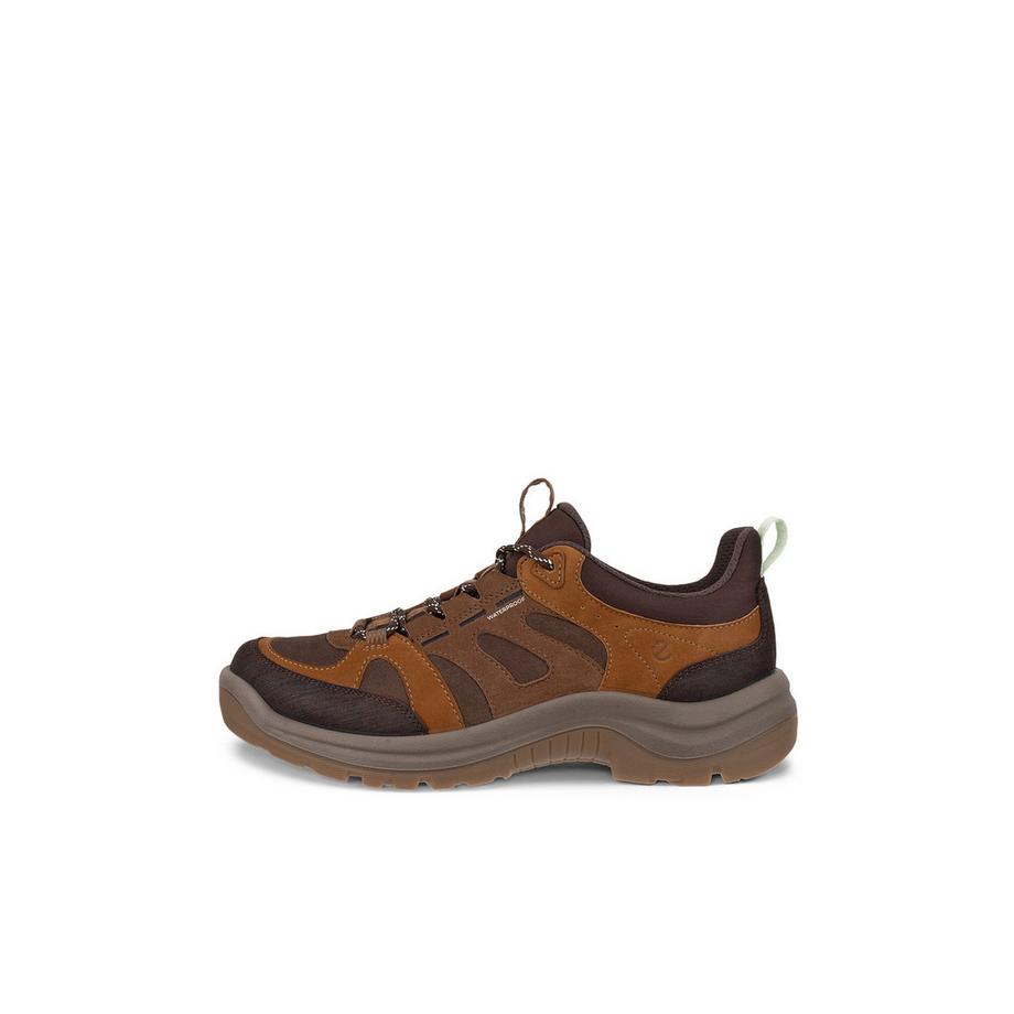 Chaussures de randonnée